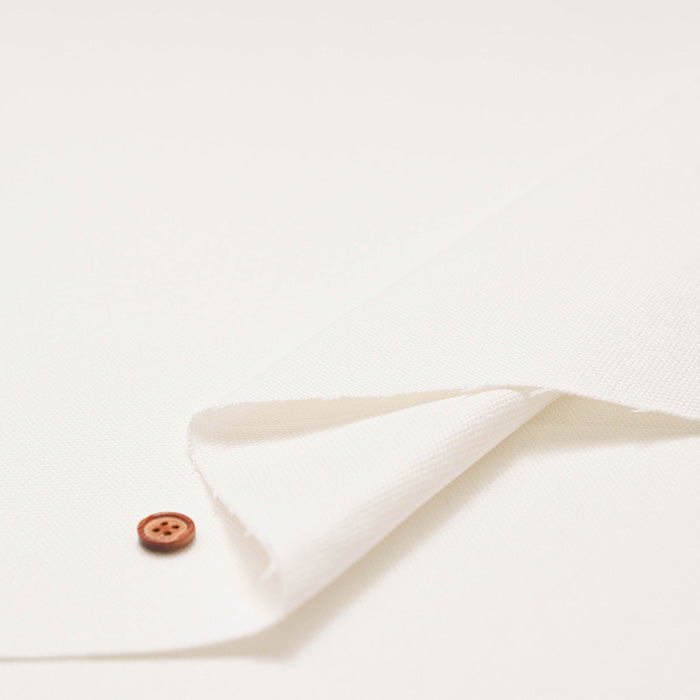 No. 8 Canvas - Solid Color - nomura tailor