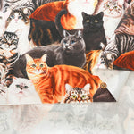 Cotton Muslin Inkjet Fabric - Sarara cat's - nomura tailor