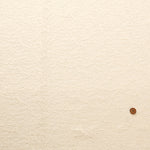 Raschel Lace Fabric - nomura tailor