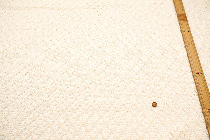 Raschel Lace Fabric - nomura tailor