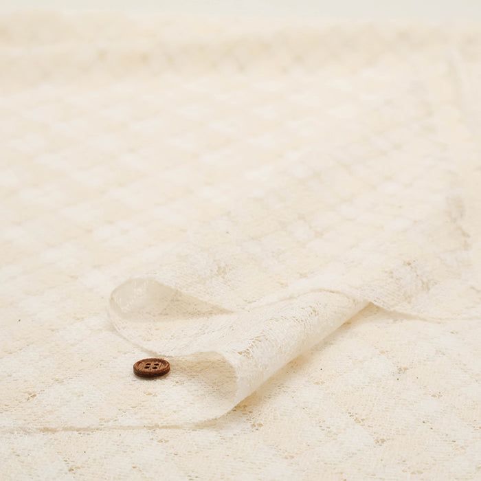 Raschel Lace Fabric - nomura tailor