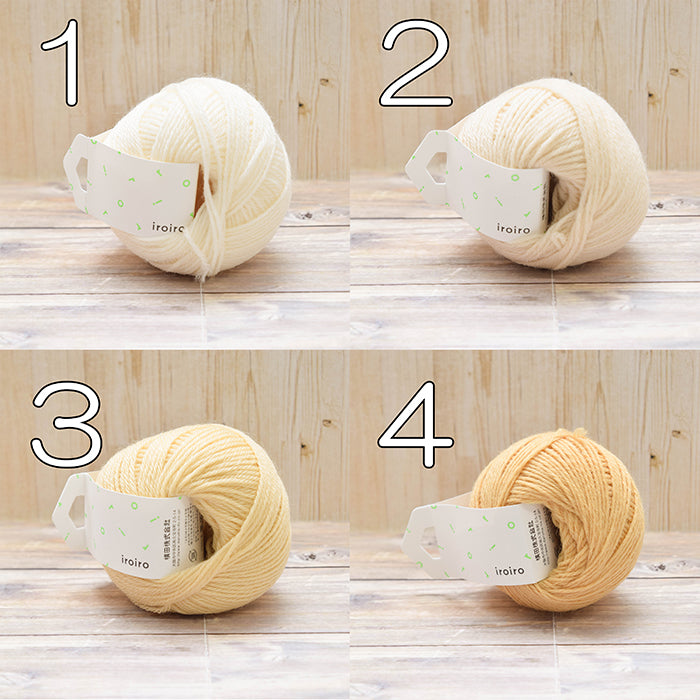 Yarn Yokota - iroiro - nomura tailor