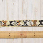 Indian embroidered ribbon Cat approx. 25 mm wide - nomura tailor