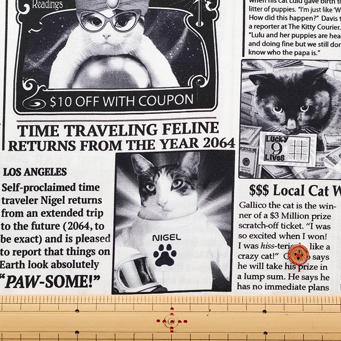 USA Cotton - TIMELESS TREASURES News Cat - nomura tailor