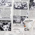 USA Cotton - TIMELESS TREASURES News Cat - nomura tailor