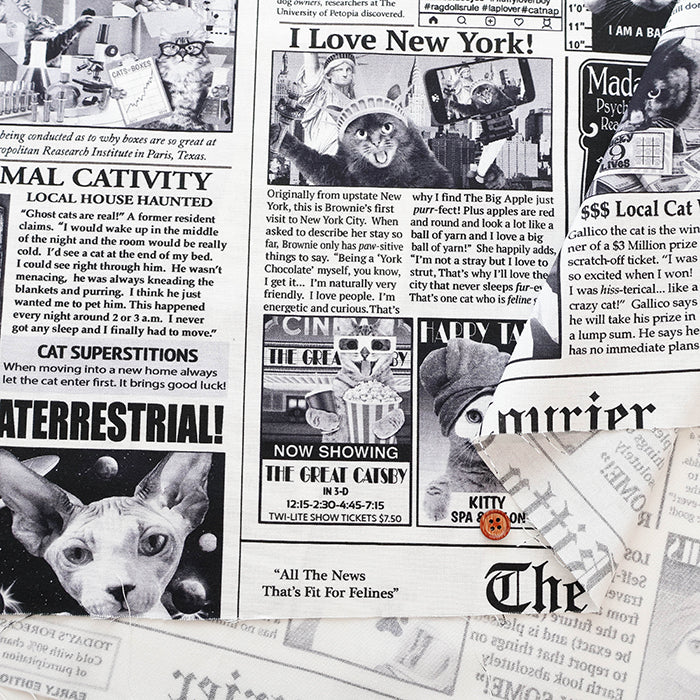 USA Cotton - TIMELESS TREASURES News Cat - nomura tailor