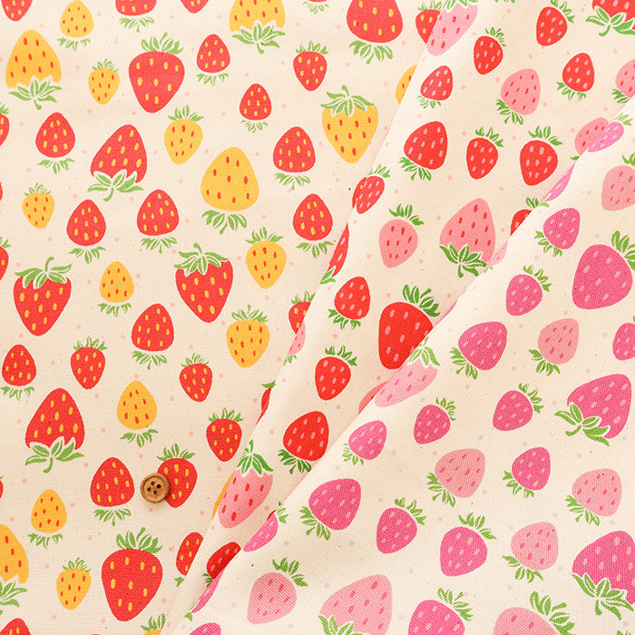 Cotton Oxford Fabric - Strawberry with shavings - nomura tailor