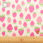 Cotton Oxford Fabric - Strawberry with shavings - nomura tailor