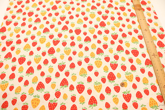 Cotton Oxford Fabric - Strawberry with shavings - nomura tailor