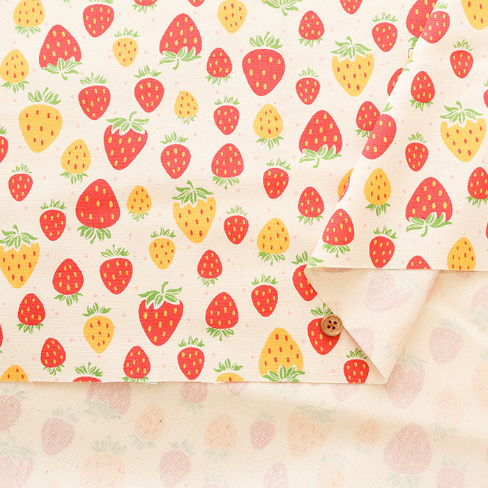 Cotton Oxford Fabric - Strawberry with shavings - nomura tailor