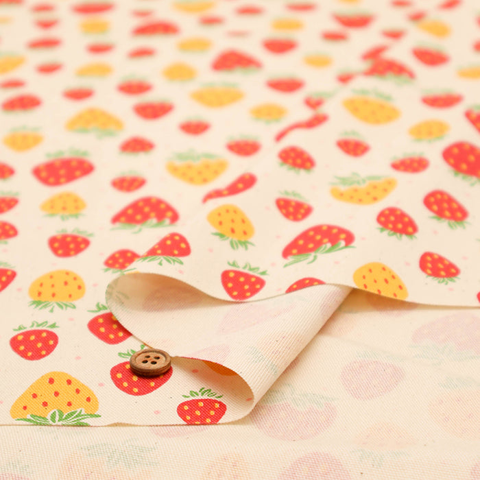 Cotton Oxford Fabric - Strawberry with shavings - nomura tailor