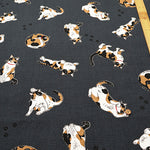 Cotton Oxford Fabric - Calico Cat - nomura tailor