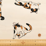 Cotton Oxford Fabric - Calico Cat - nomura tailor
