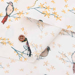 OEKO-TEXCertification “The Dawn chorus” - nomura tailor