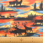 USA Cotton Printed Fabric - moda - Wild Blue Yonder - nomura tailor