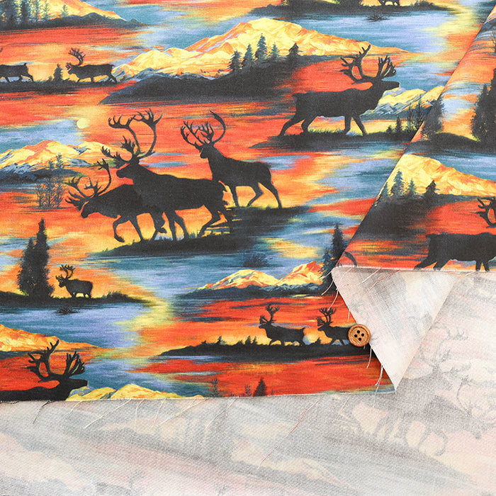 USA Cotton Printed Fabric - moda - Wild Blue Yonder - nomura tailor