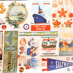 USA Cotton Printed Fabric - moda SALTWATER - nomura tailor