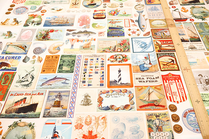 USA Cotton Printed Fabric - moda SALTWATER - nomura tailor
