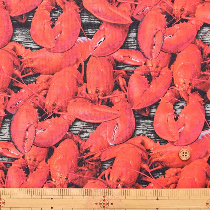 USA Cotton WINDHAM FABRICS Lobster - nomura tailor