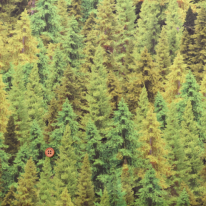 USA Cotton Printed Fabric - TIMELESS TREASURES　FOREST - nomura tailor