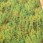 USA Cotton Printed Fabric - TIMELESS TREASURES　FOREST - nomura tailor