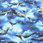 cotton sheeting print fabric inkjet print mingswim whale - nomura tailor