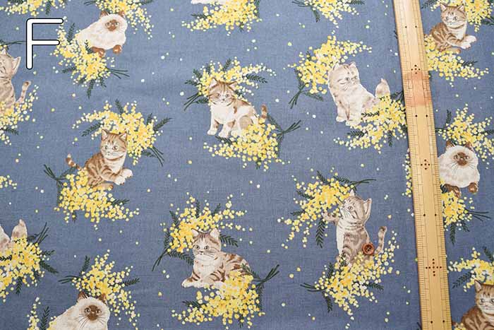 C/L Canvas Printed Fabric Mimosa and Cat - nomura tailor