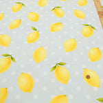 Cotton Oxford Printed Fabric - Lemon - nomura tailor