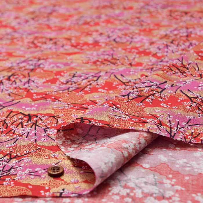 Cotton chintzy grame print fabric "Yumekiro hyakkei" (Cherry blossom) - nomura tailor