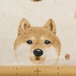 C/L Canvas Print Fabric - Shiba Dog - nomura tailor