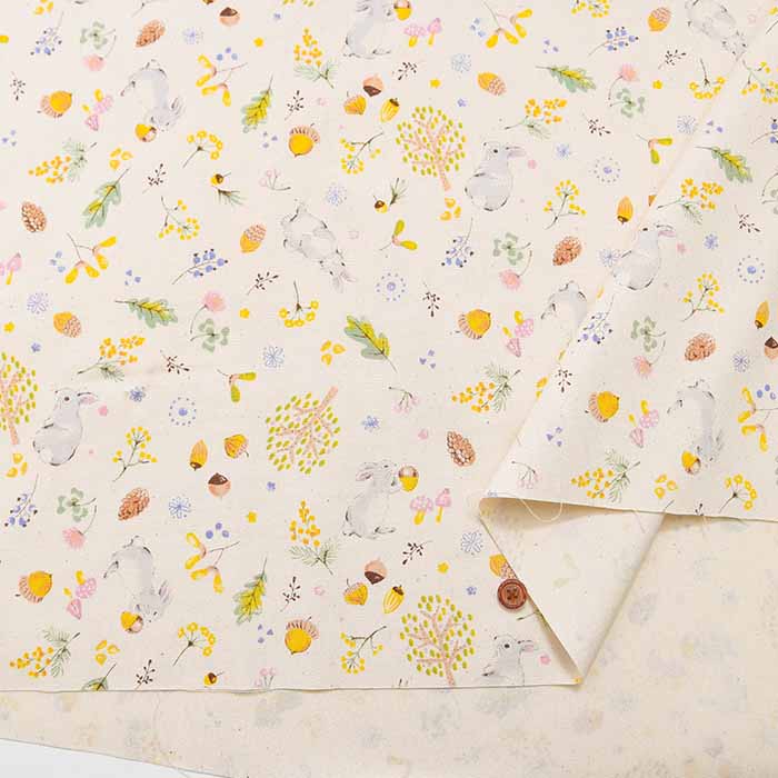 Cotton oxford print fabric Nuts and rabbits - nomura tailor