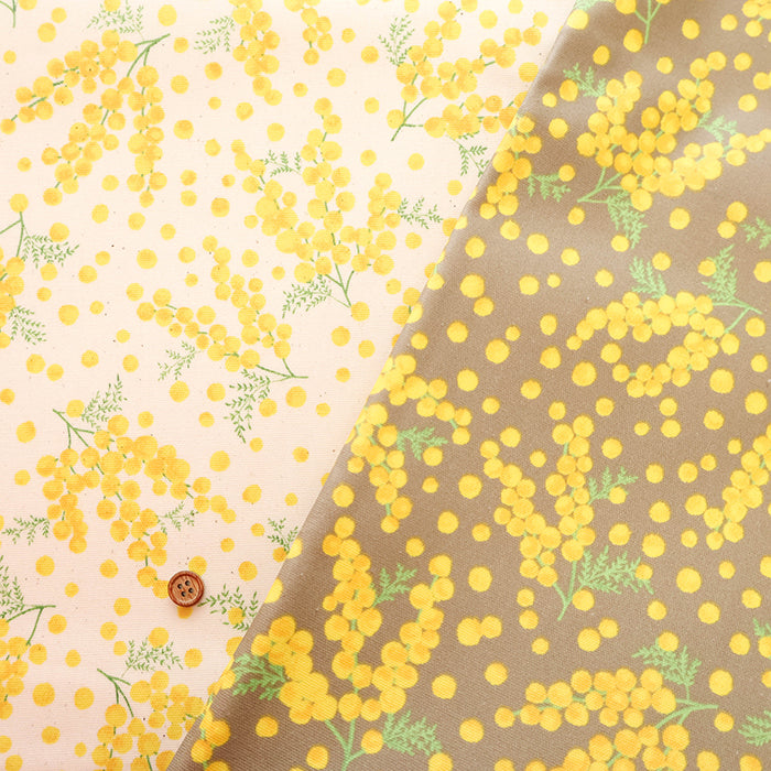 Cotton Oxford Laminated Fabric - Mimosa - nomura tailor