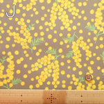 Cotton Oxford Laminated Fabric - Mimosa - nomura tailor