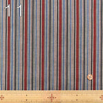 Mikawa cotton fabric Stripe - nomura tailor