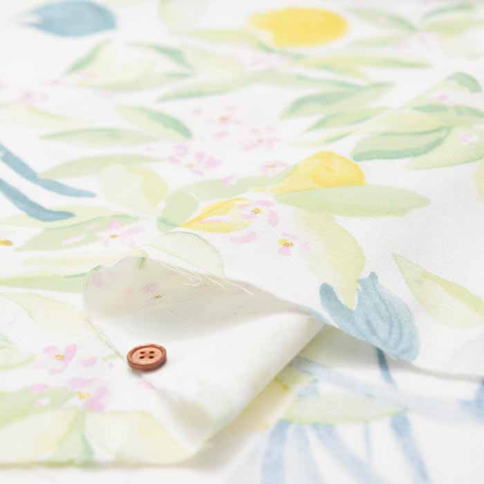 Cotton organic cotton double gauze fabric nani-IRO MARGO - nomura tailor