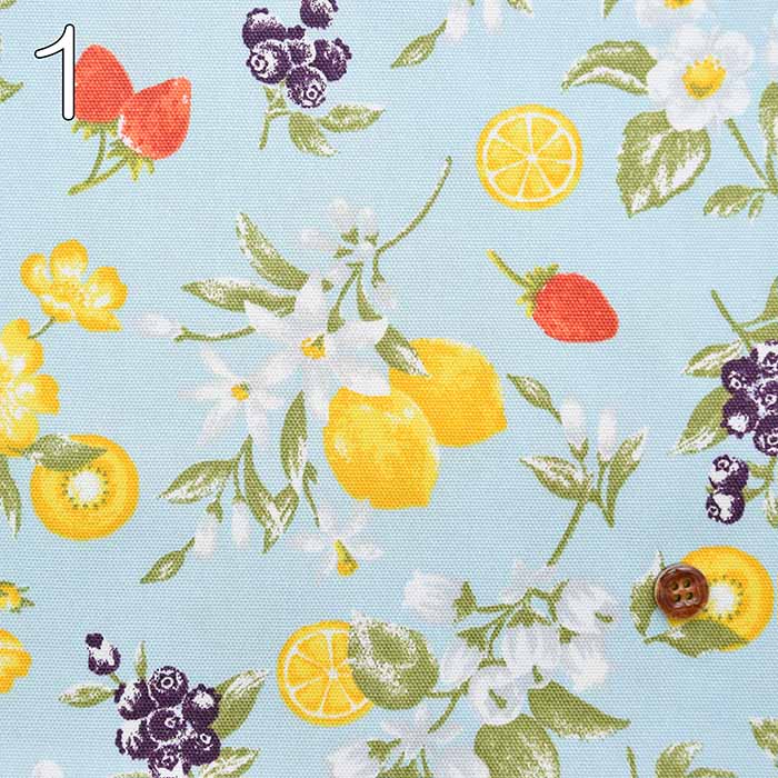 Cotton ox print fabric tasty goods graph - nomura tailor