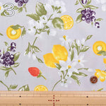 Cotton ox print fabric tasty goods graph - nomura tailor