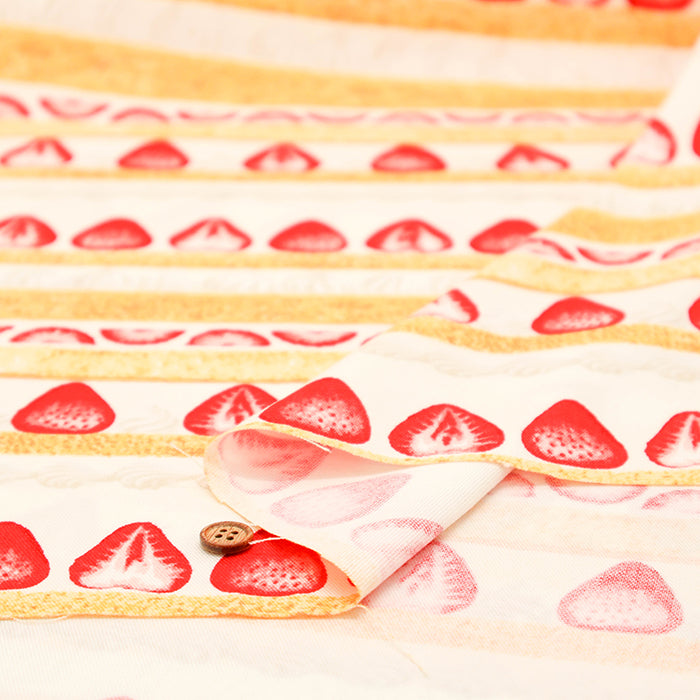Cotton Oxford Fabric - Cake - nomura tailor