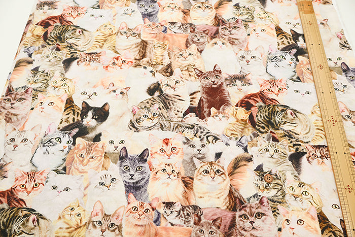 Cotton Muslin Inkjet Fabric - Sarara cat's2 - nomura tailor