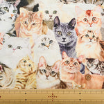 Cotton Muslin Inkjet Fabric - Sarara cat's2 - nomura tailor