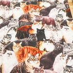 Cotton Muslin Inkjet Fabric - Sarara cat's - nomura tailor