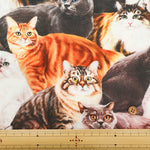 Cotton Muslin Inkjet Fabric - Sarara cat's - nomura tailor