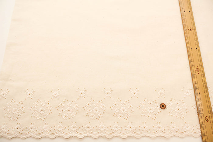 Cotton Cambric Border Lace Fabric - nomura tailor