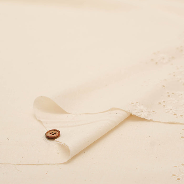 Cotton Cambric Border Lace Fabric - nomura tailor