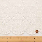 Cotton cambric border lace fabric - nomura tailor