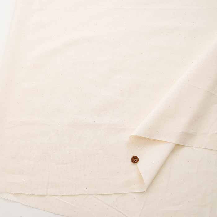 Cotton cambric border lace fabric - nomura tailor