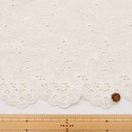 Cotton Cambric Border Lace Fabric - nomura tailor