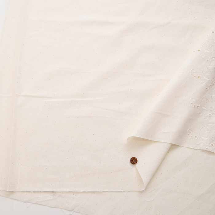 Cotton Cambric Border Lace Fabric - nomura tailor