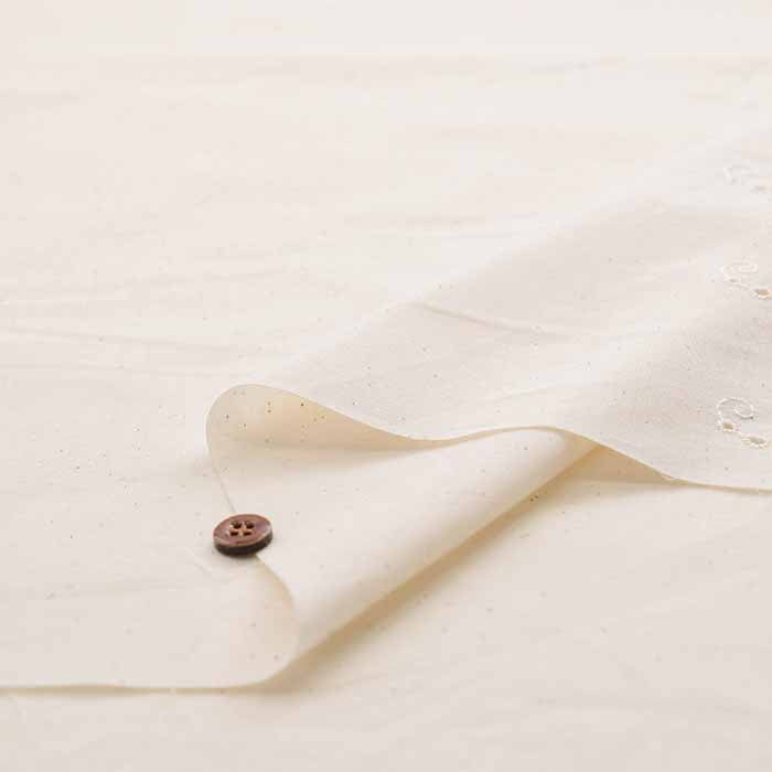 Cotton Cambric Border Lace Fabric - nomura tailor