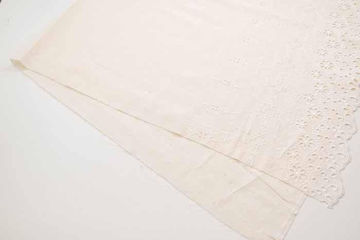 Cotton Cambric Border Lace Fabric - nomura tailor